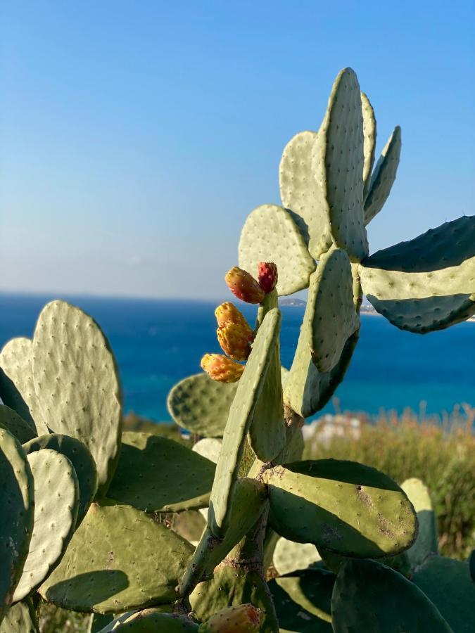 Azure Blue Studios Mikri Vigla Dış mekan fotoğraf