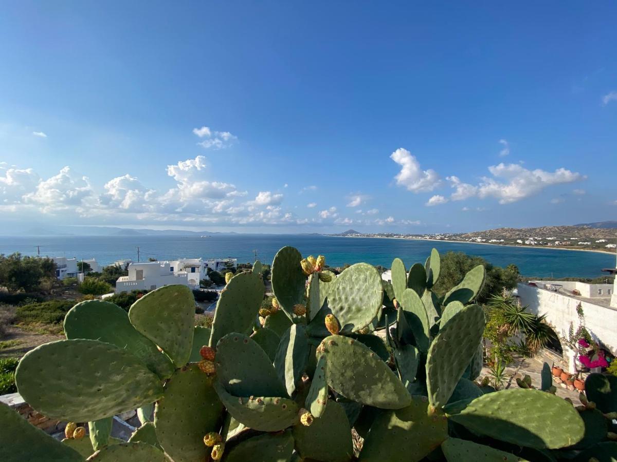 Azure Blue Studios Mikri Vigla Dış mekan fotoğraf
