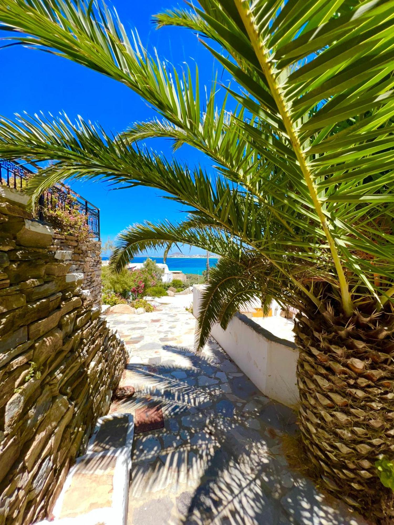 Azure Blue Studios Mikri Vigla Dış mekan fotoğraf